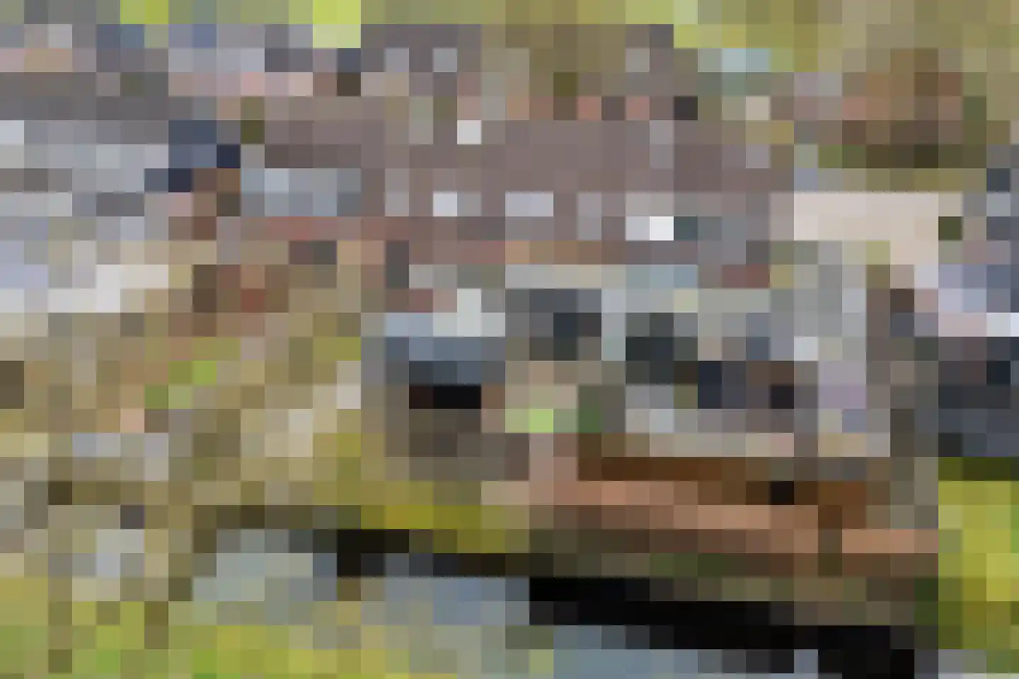 Russchenreed 15 Wijnjewoude thumbnail 41