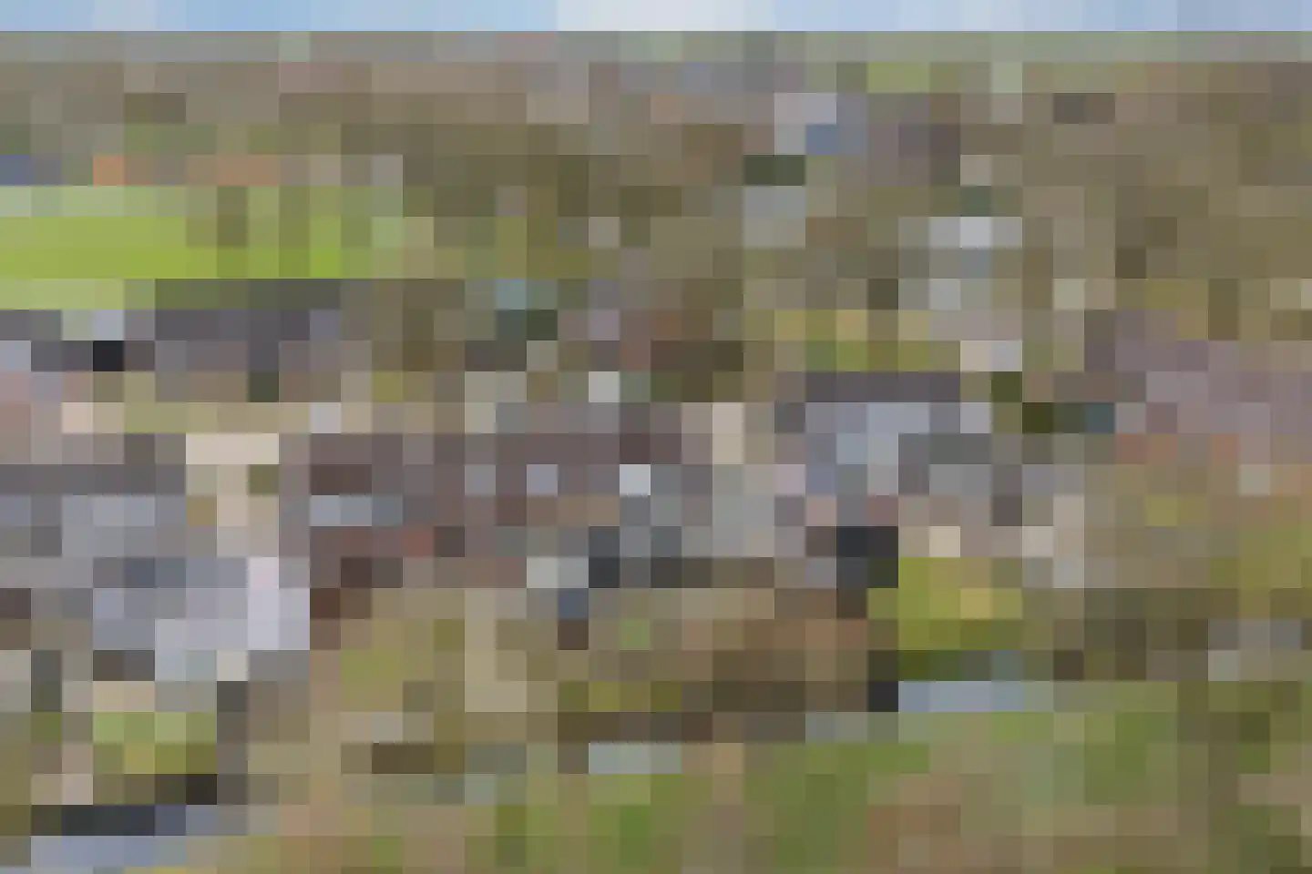 Russchenreed 15 Wijnjewoude thumbnail 43