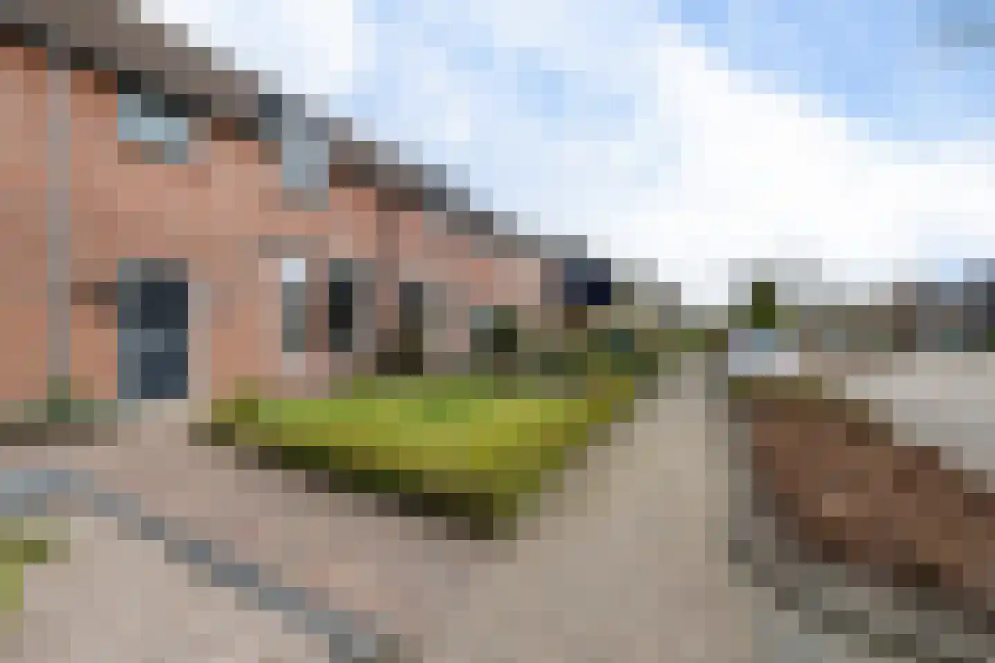 Russchenreed 15 Wijnjewoude thumbnail 44