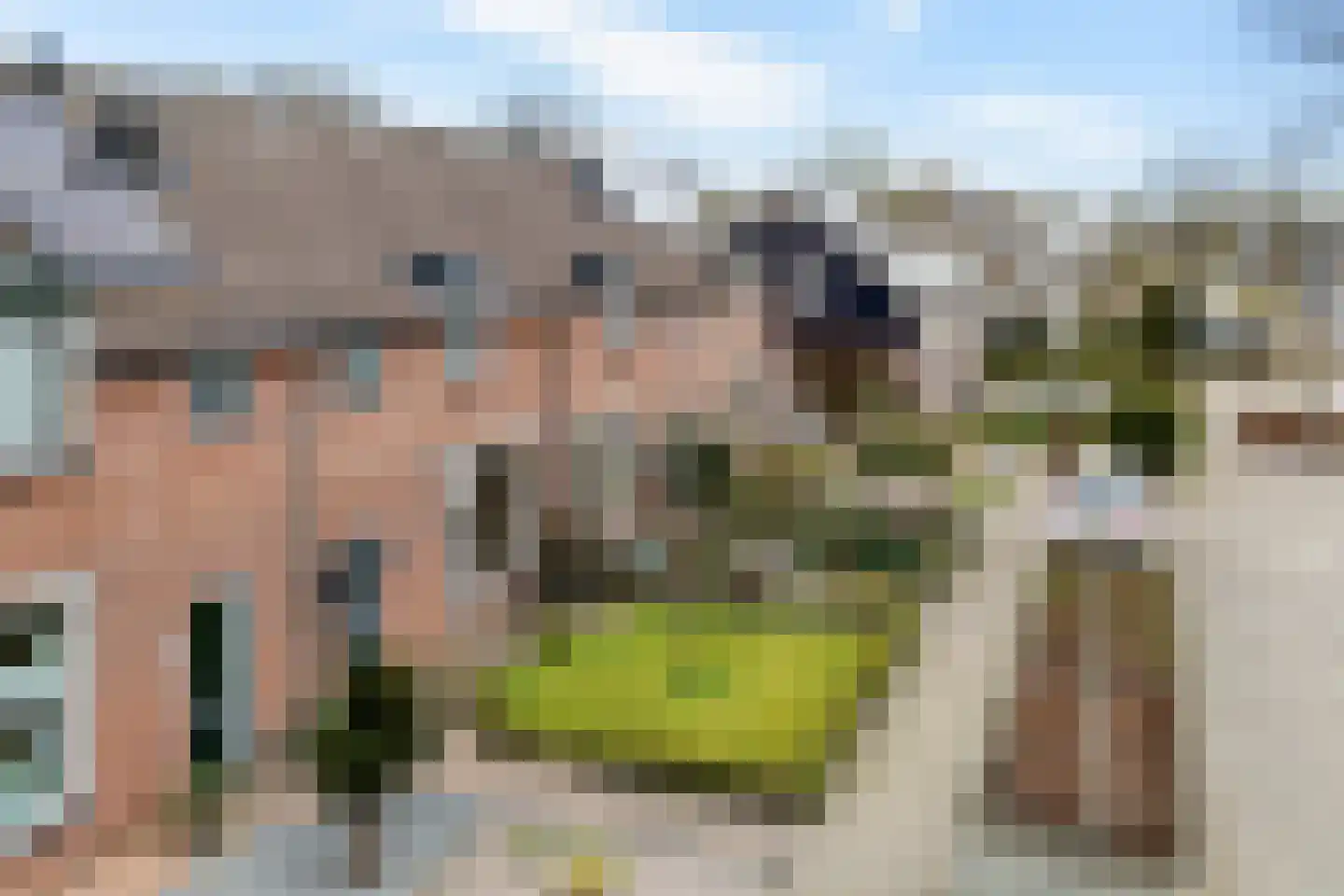 Russchenreed 15 Wijnjewoude thumbnail 45