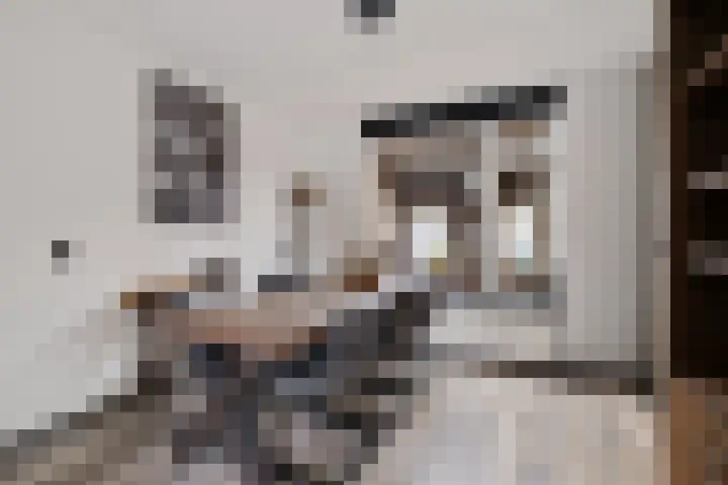 Russchenreed 15 Wijnjewoude thumbnail 5