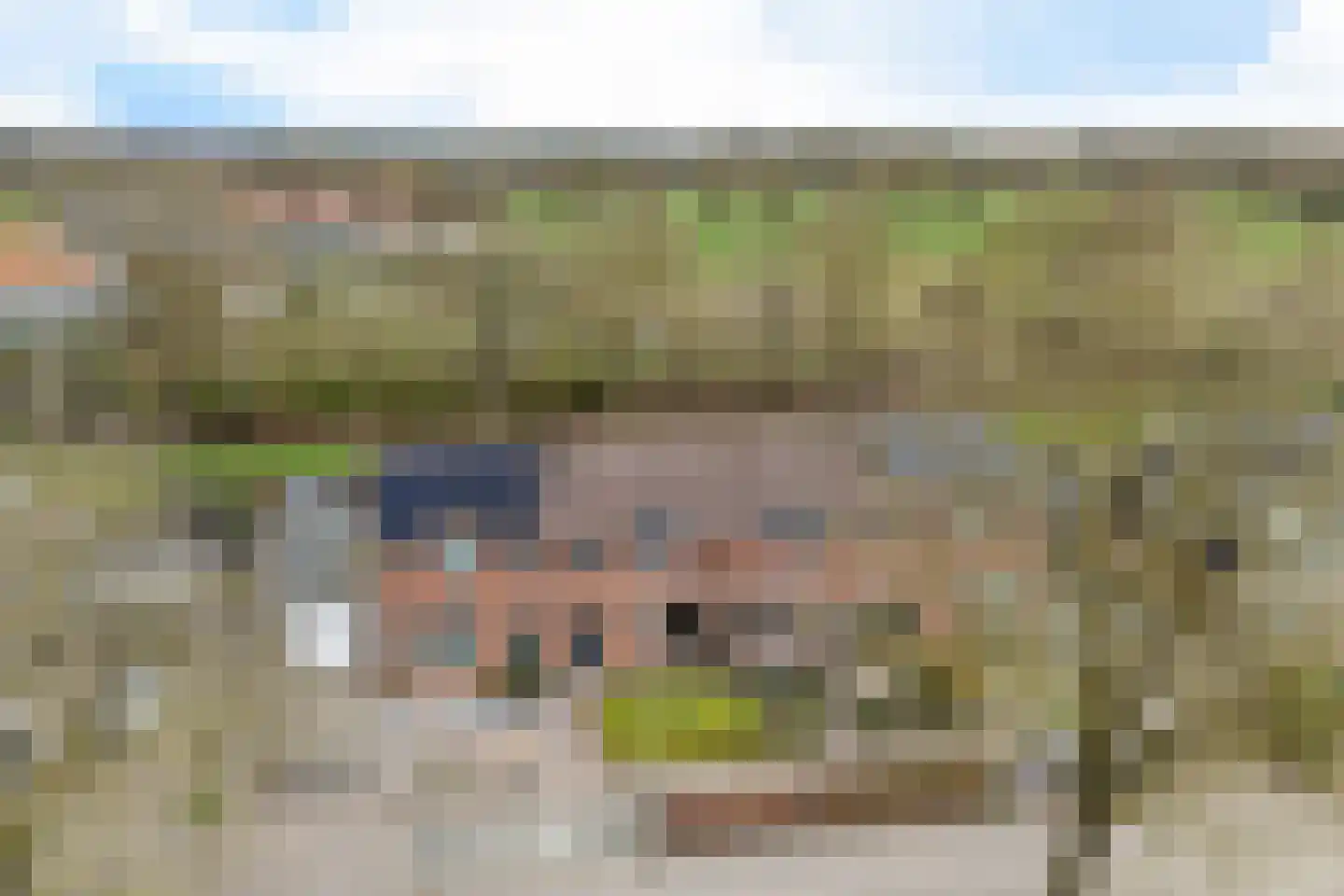 Russchenreed 15 Wijnjewoude thumbnail 50
