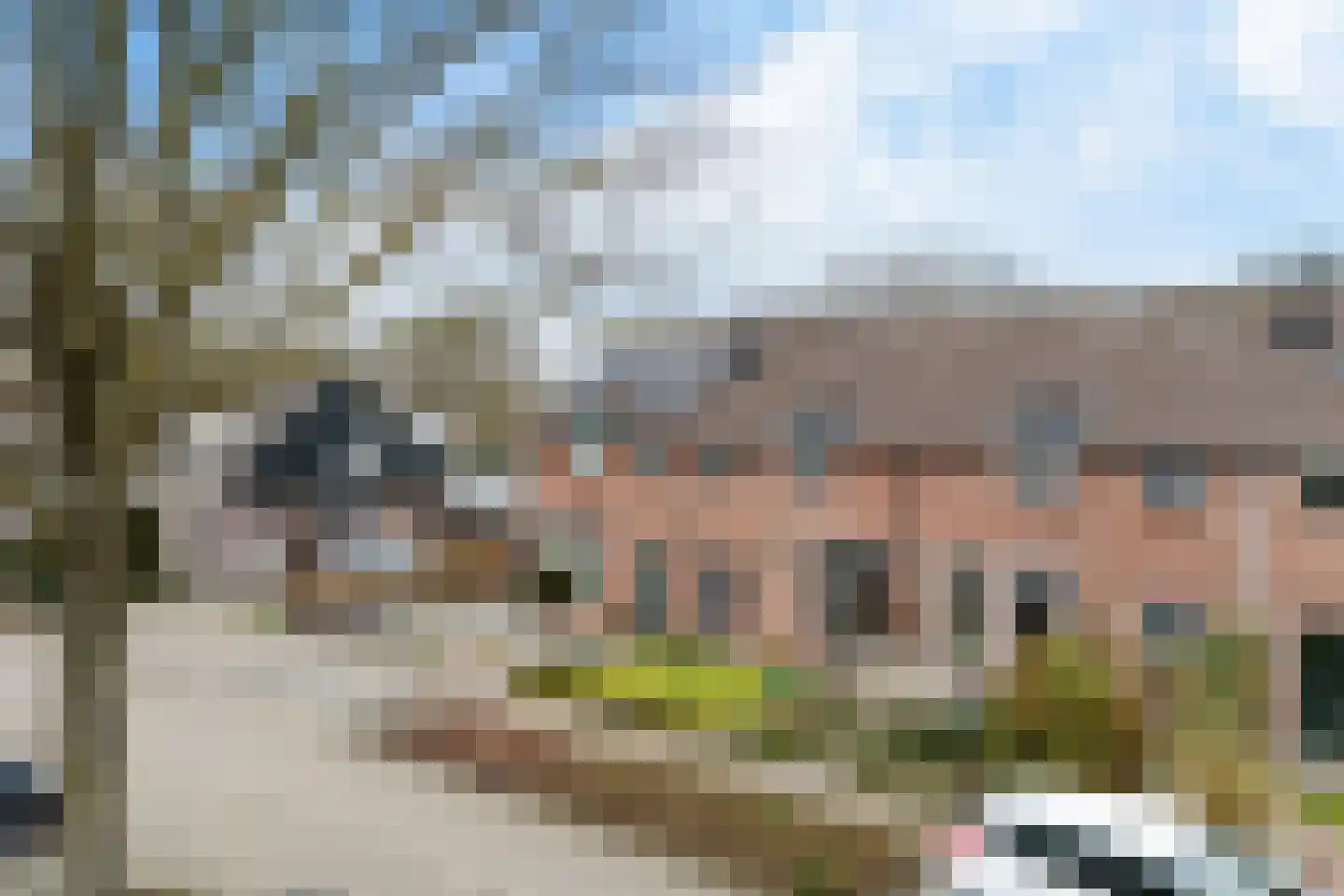 Russchenreed 15 Wijnjewoude thumbnail 52