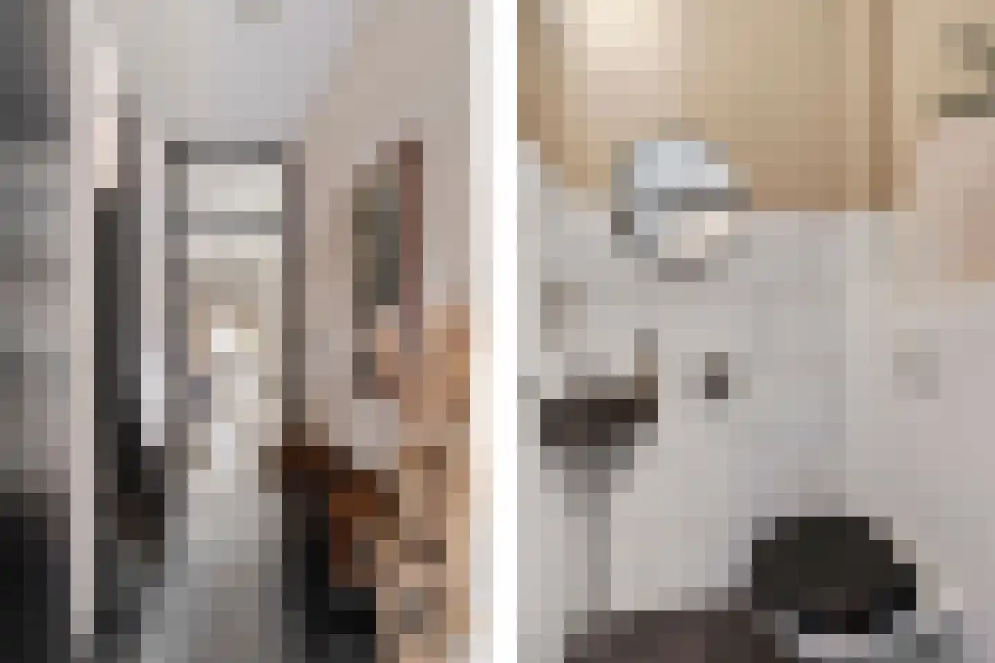 Russchenreed 15 Wijnjewoude thumbnail 7