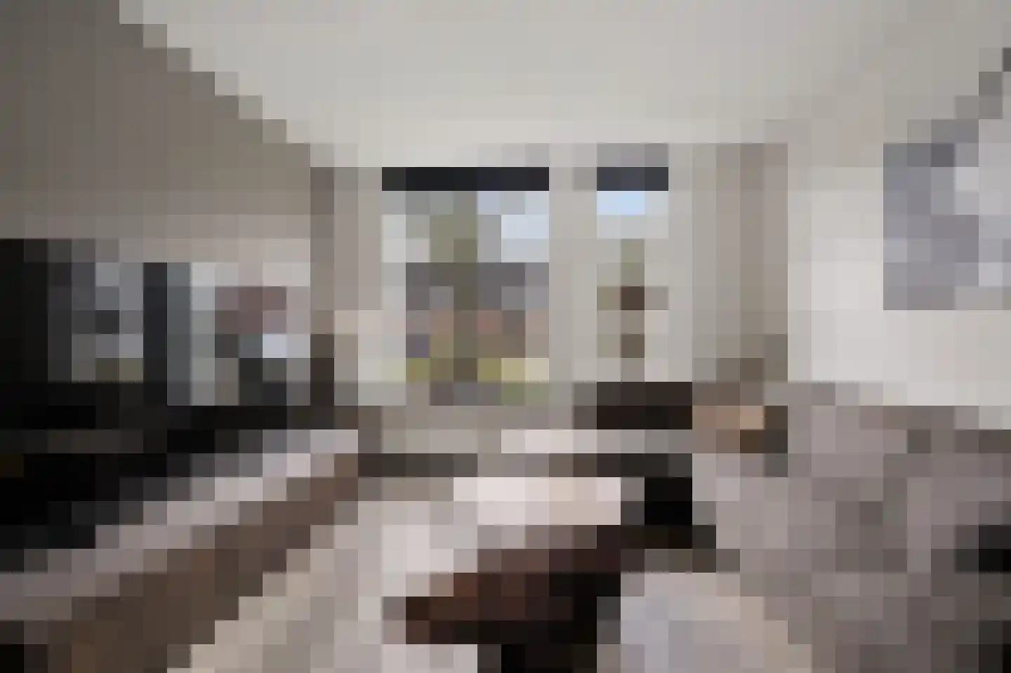 Russchenreed 15 Wijnjewoude thumbnail 8