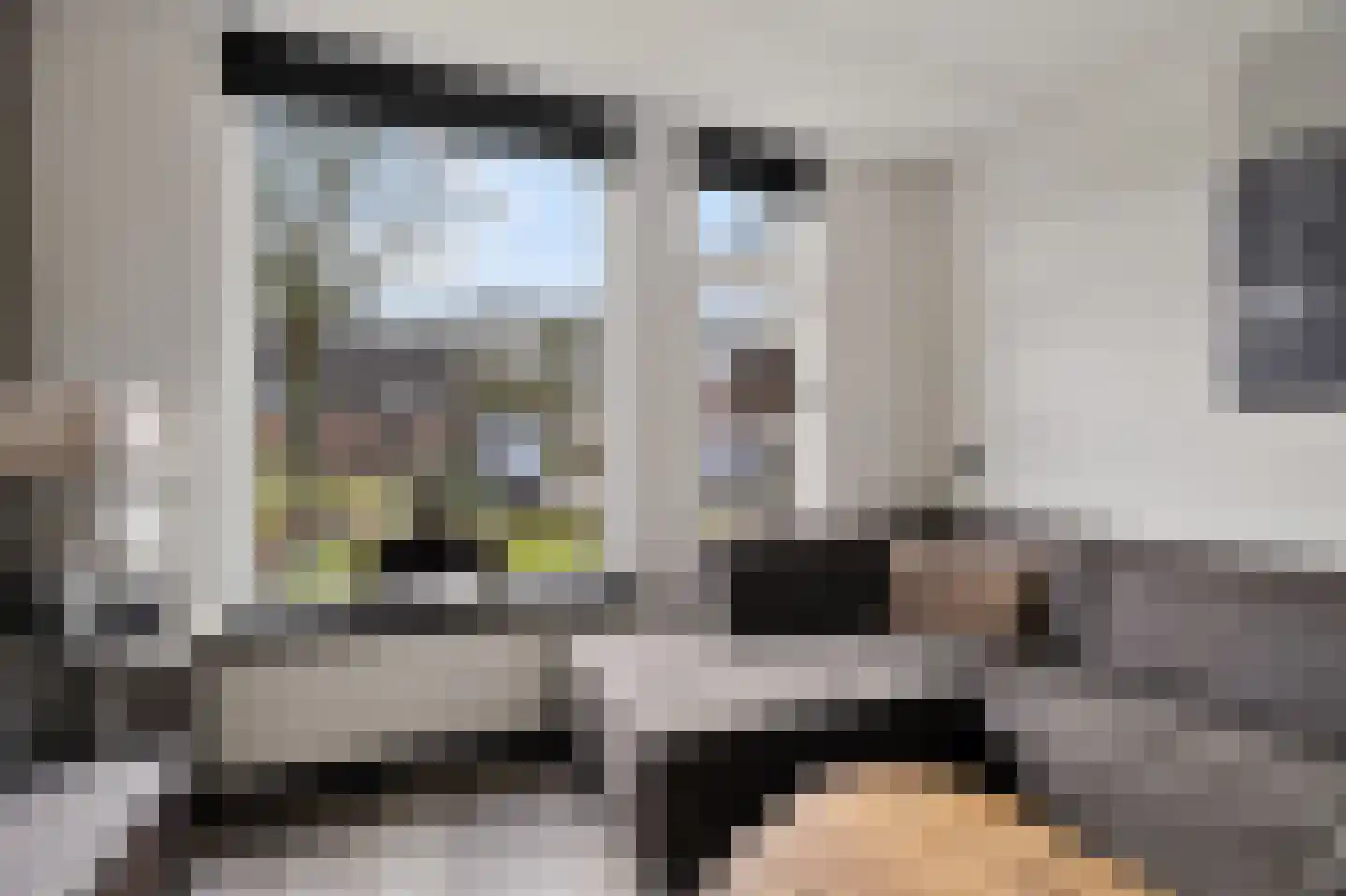 Russchenreed 15 Wijnjewoude thumbnail 9
