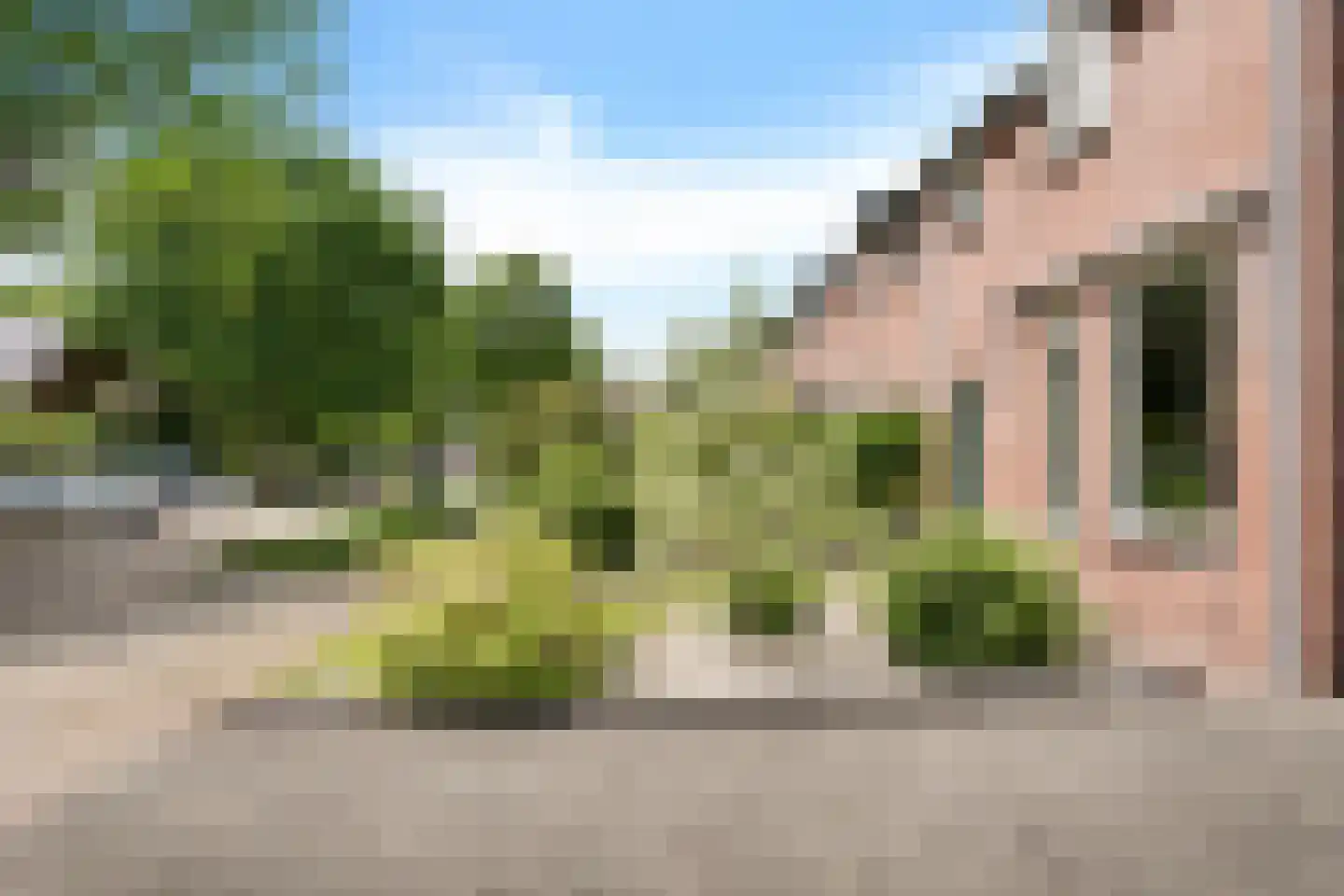 Russchenreed 19 Wijnjewoude thumbnail 10