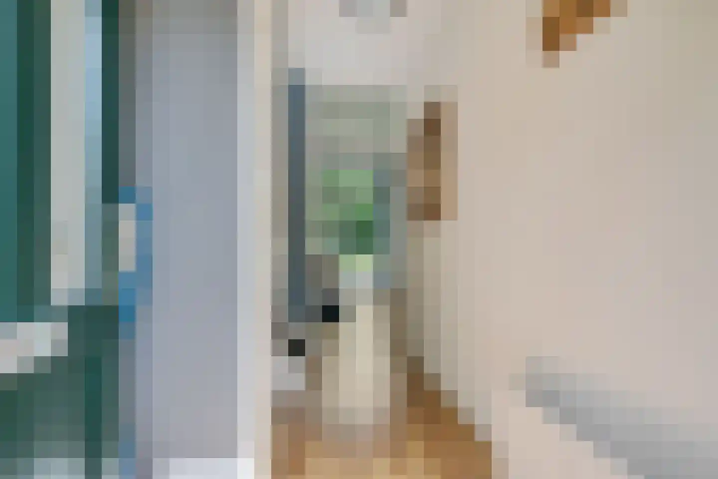 Russchenreed 19 Wijnjewoude thumbnail 11