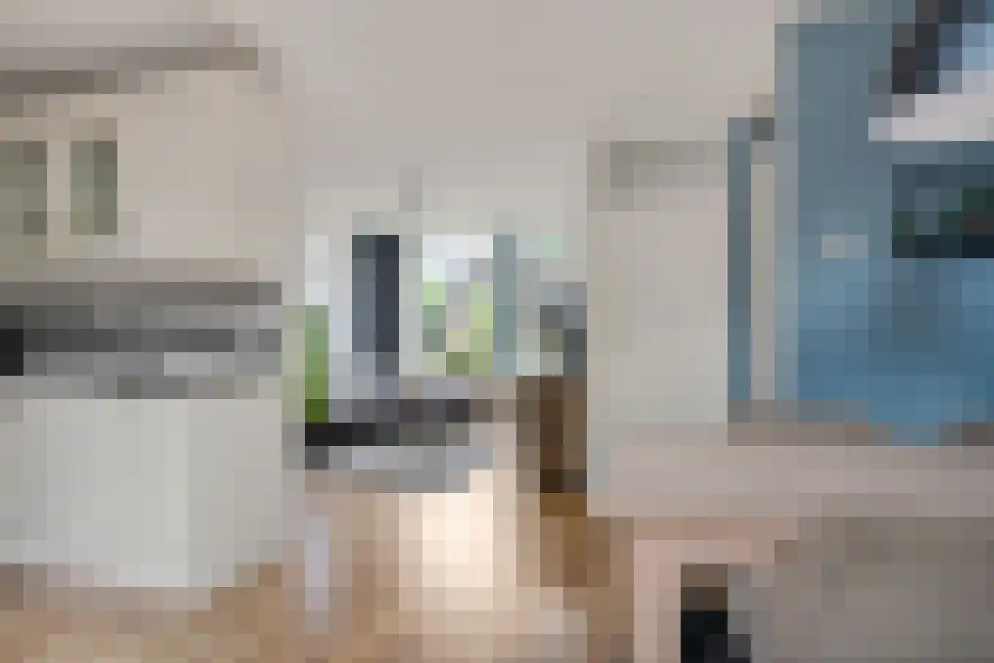 Russchenreed 19 Wijnjewoude thumbnail 18