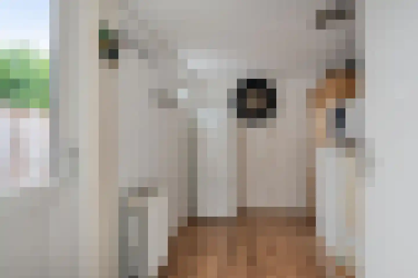 Russchenreed 19 Wijnjewoude thumbnail 26