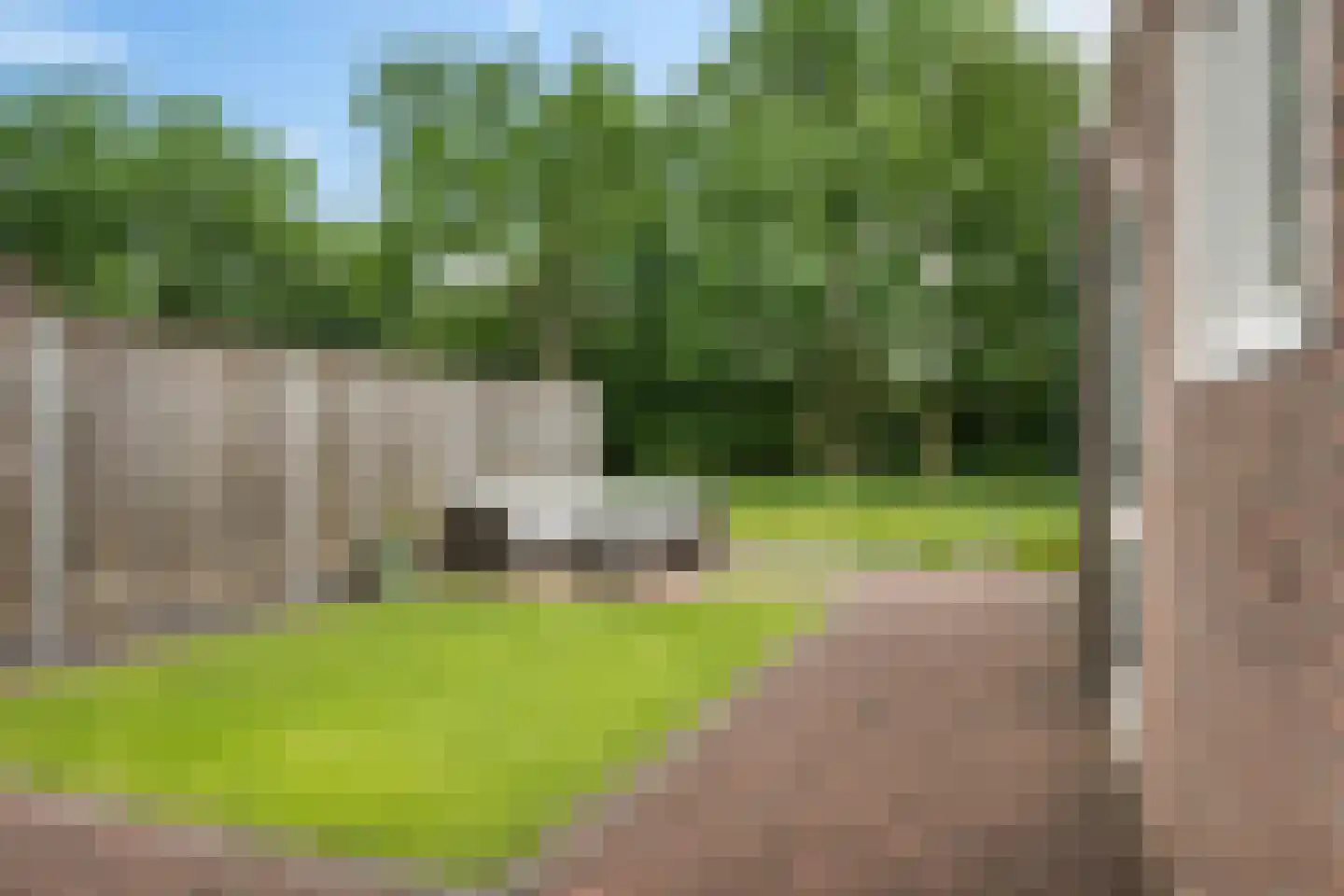 Russchenreed 19 Wijnjewoude thumbnail 41