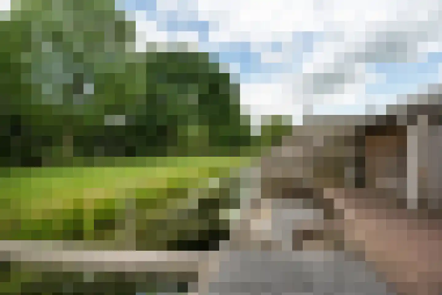 Russchenreed 19 Wijnjewoude thumbnail 42