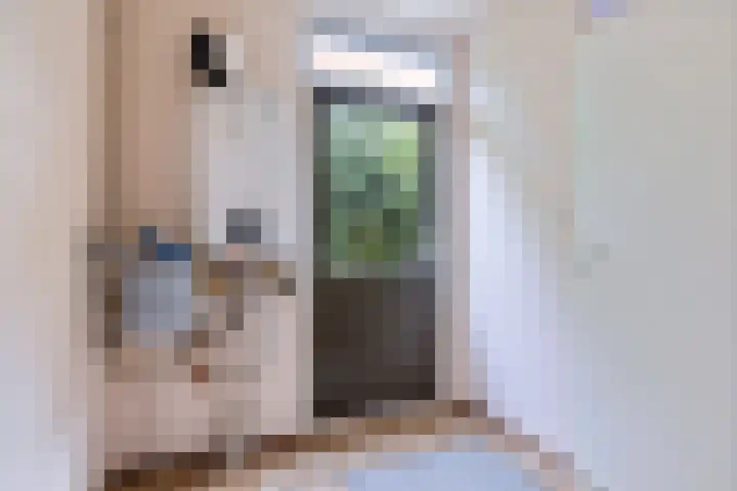 Russchenreed 45 Wijnjewoude thumbnail 18