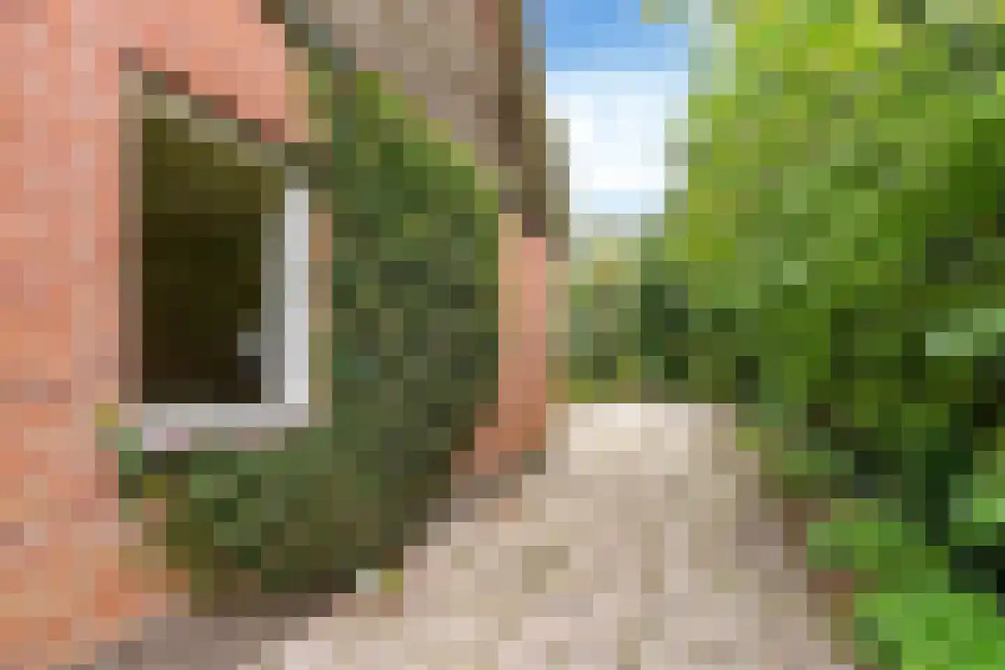 Russchenreed 45 Wijnjewoude thumbnail 20