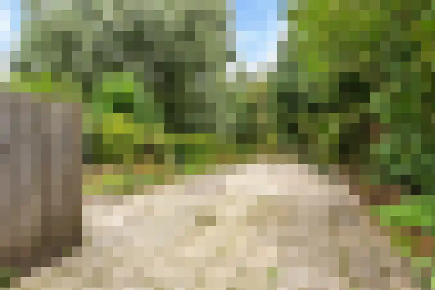 Russchenreed 45 Wijnjewoude thumbnail 21