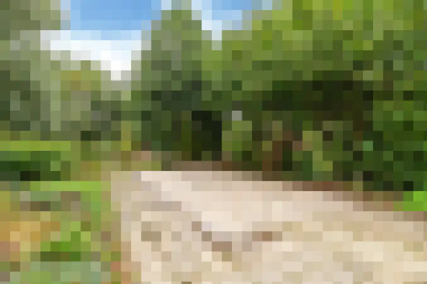 Russchenreed 45 Wijnjewoude thumbnail 22