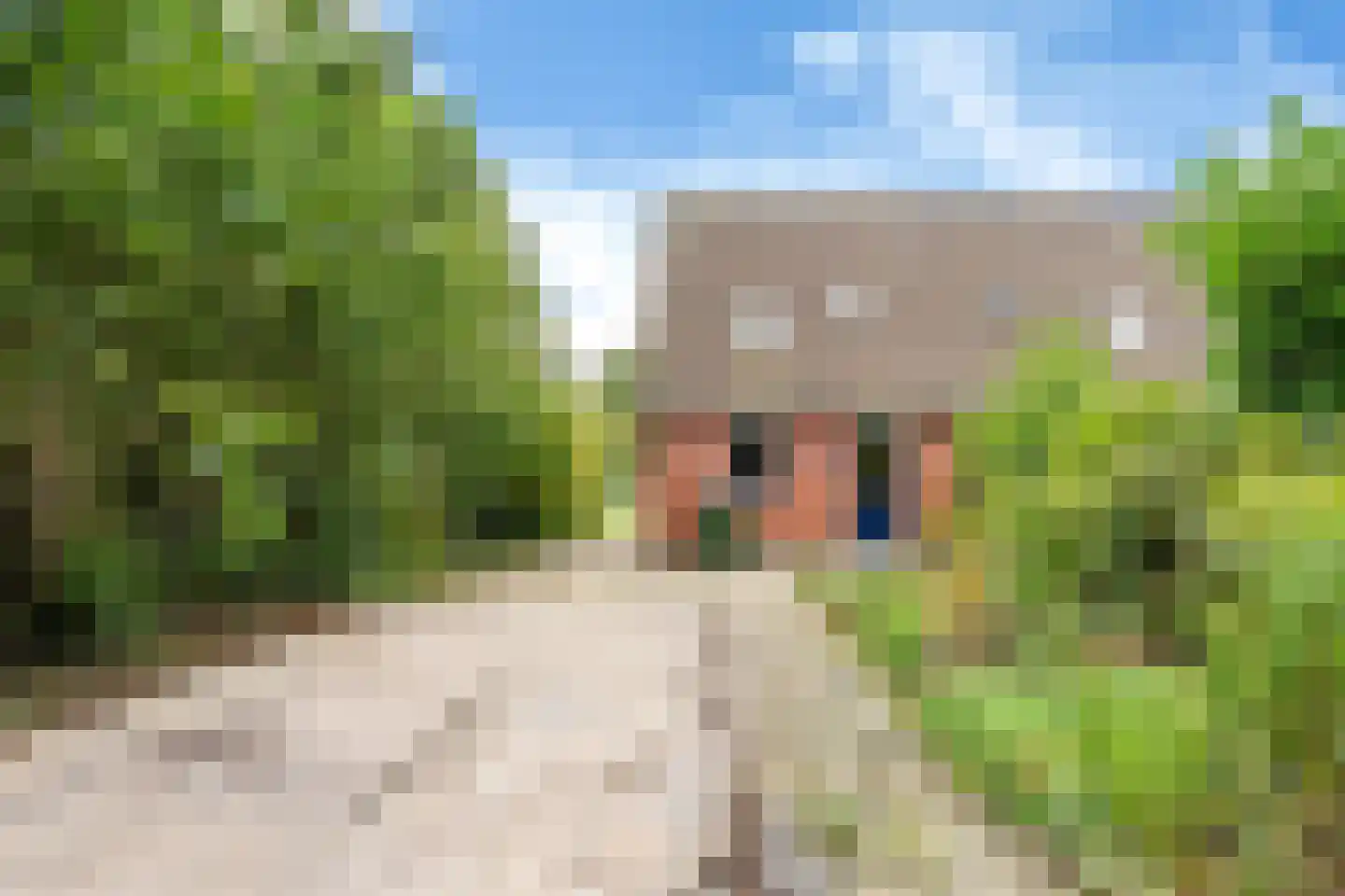 Russchenreed 45 Wijnjewoude thumbnail 24
