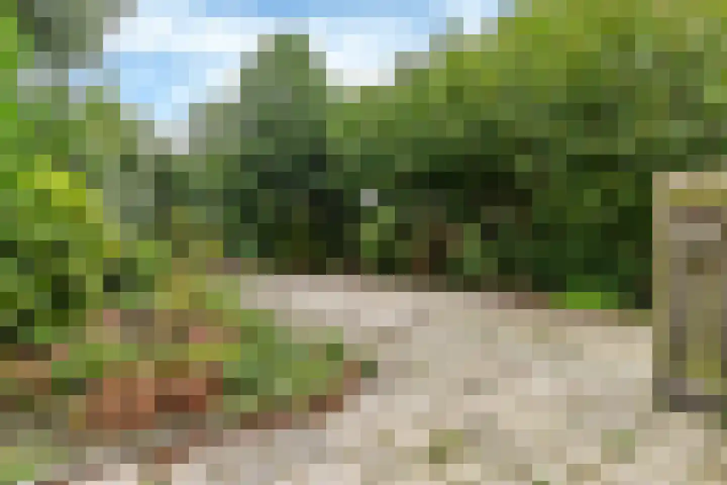 Russchenreed 45 Wijnjewoude thumbnail 27