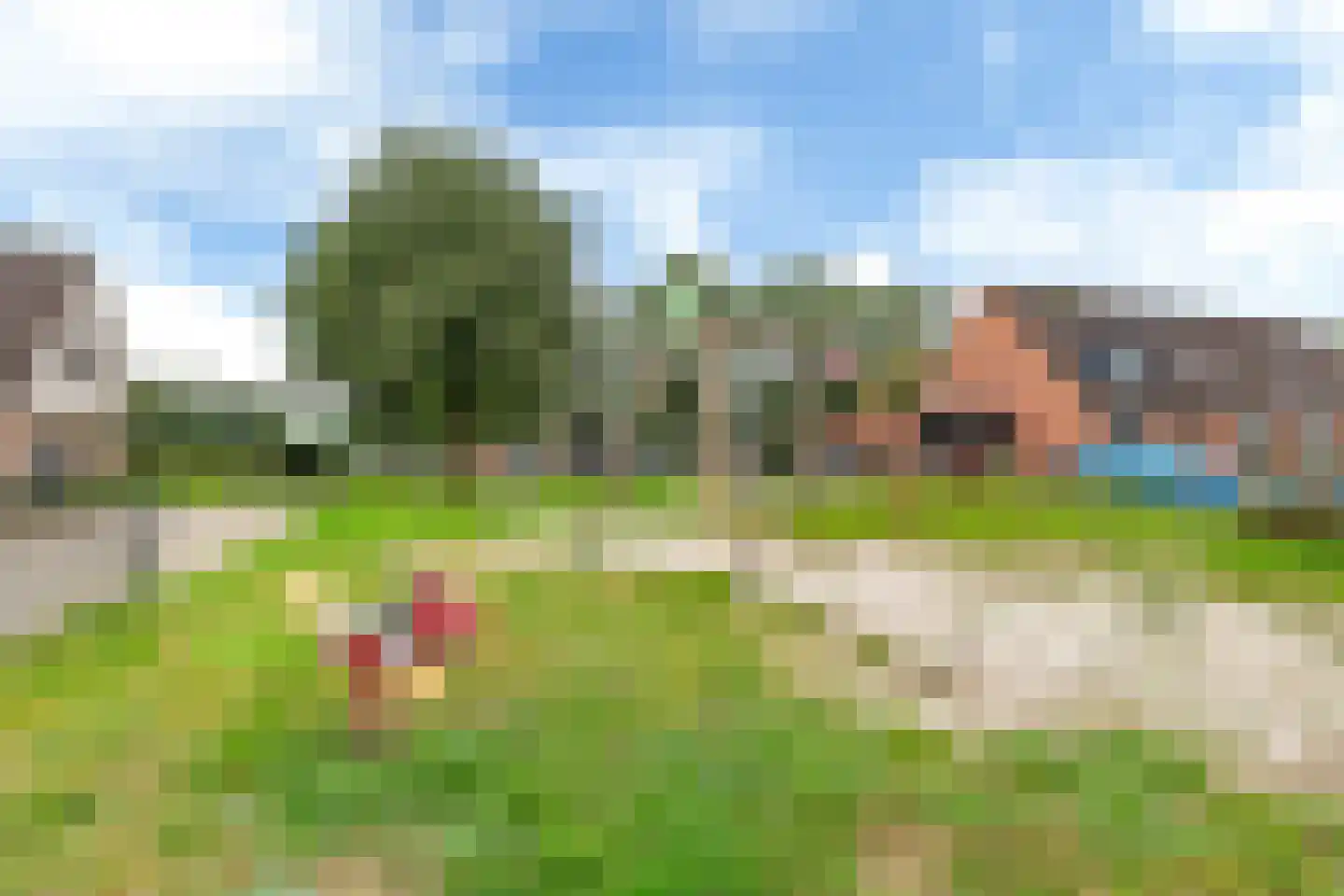 Russchenreed 45 Wijnjewoude thumbnail 37