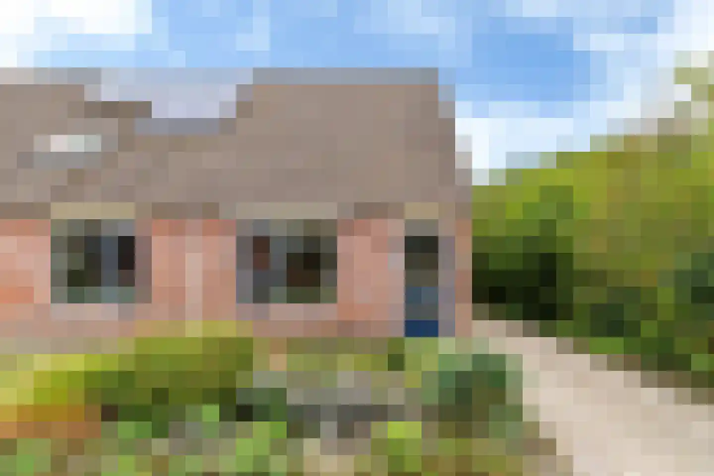 Russchenreed 45 Wijnjewoude thumbnail 4