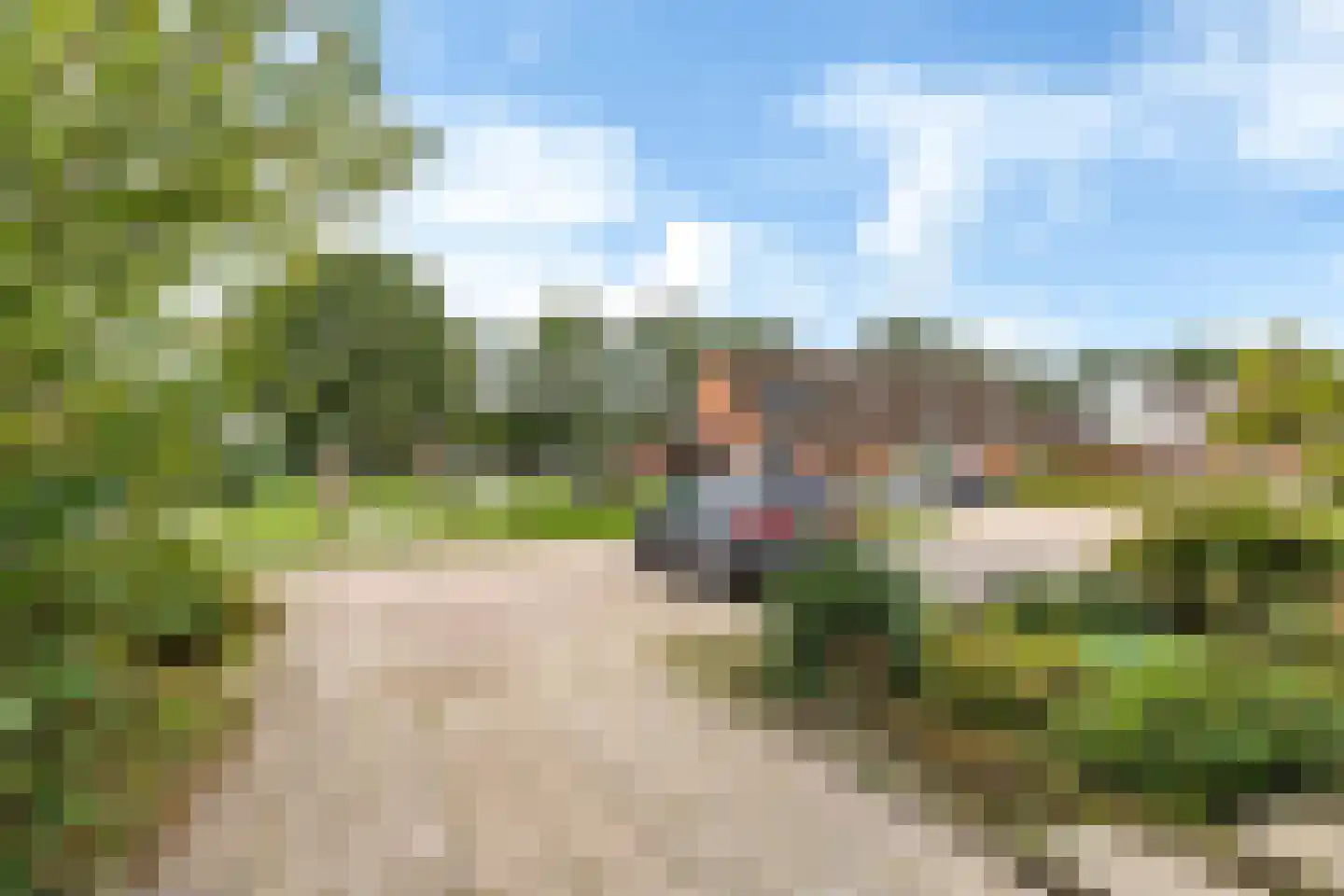 Russchenreed 45 Wijnjewoude thumbnail 7