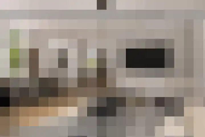 Russchenreed 71 Wijnjewoude thumbnail 11
