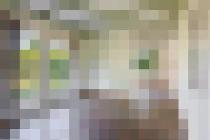 Russchenreed 71 Wijnjewoude thumbnail 13