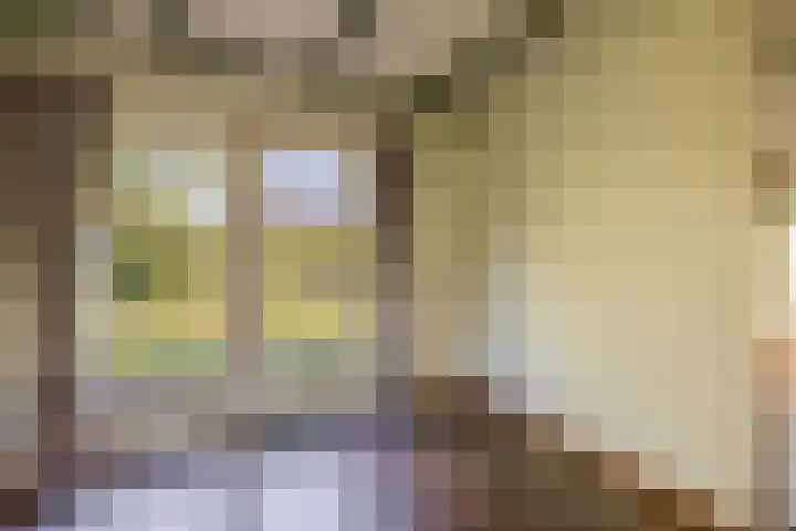 Russchenreed 71 Wijnjewoude thumbnail 14