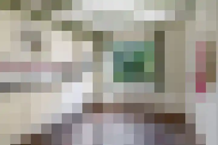 Russchenreed 71 Wijnjewoude thumbnail 15