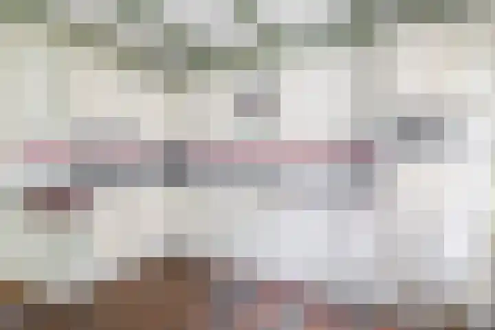 Russchenreed 71 Wijnjewoude thumbnail 16