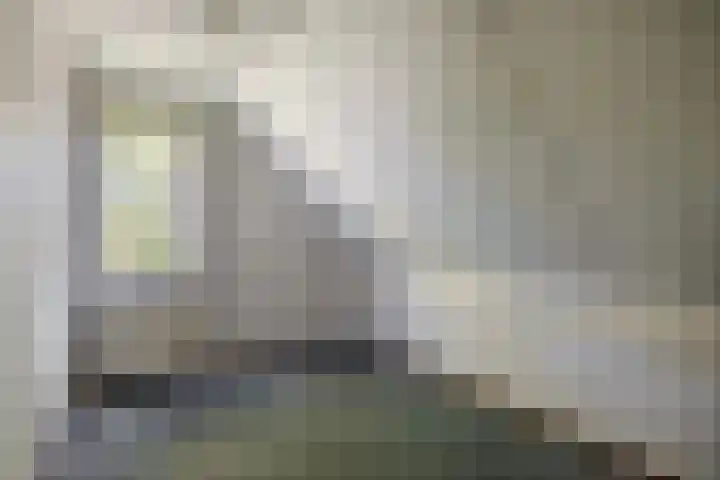 Russchenreed 71 Wijnjewoude thumbnail 30