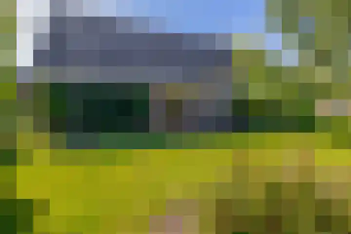 Russchenreed 71 Wijnjewoude thumbnail 31