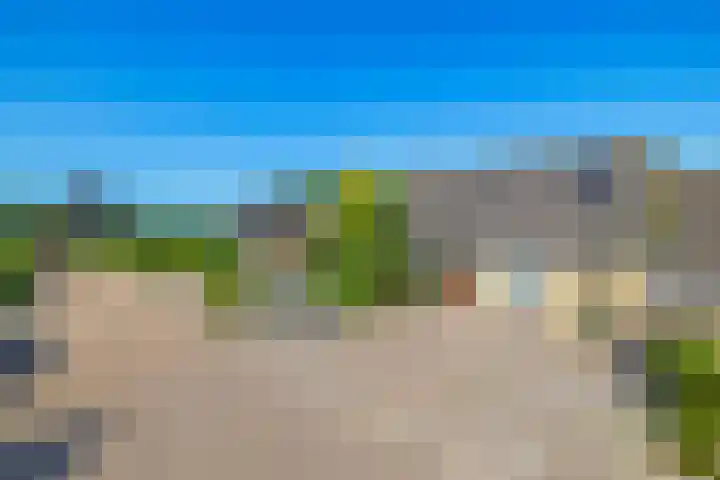 Russchenreed 71 Wijnjewoude thumbnail 33