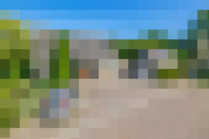 Russchenreed 71 Wijnjewoude thumbnail 34