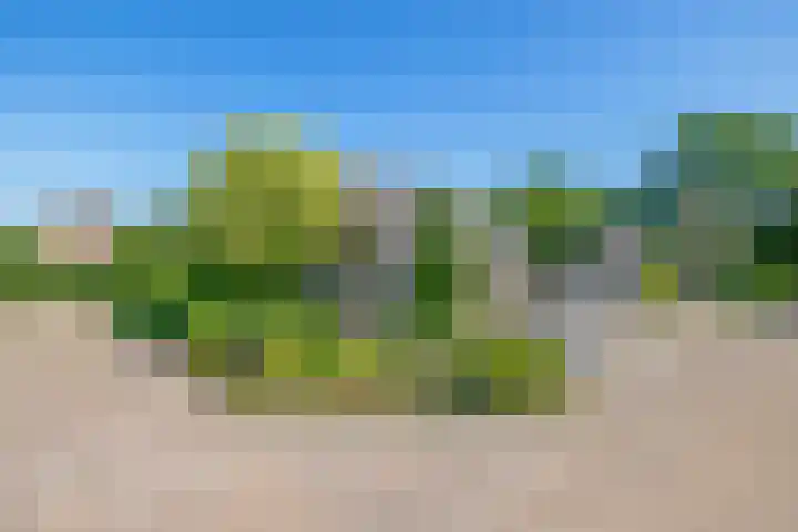 Russchenreed 71 Wijnjewoude thumbnail 35