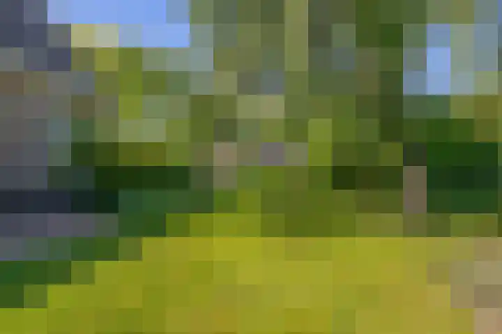 Russchenreed 71 Wijnjewoude thumbnail 39