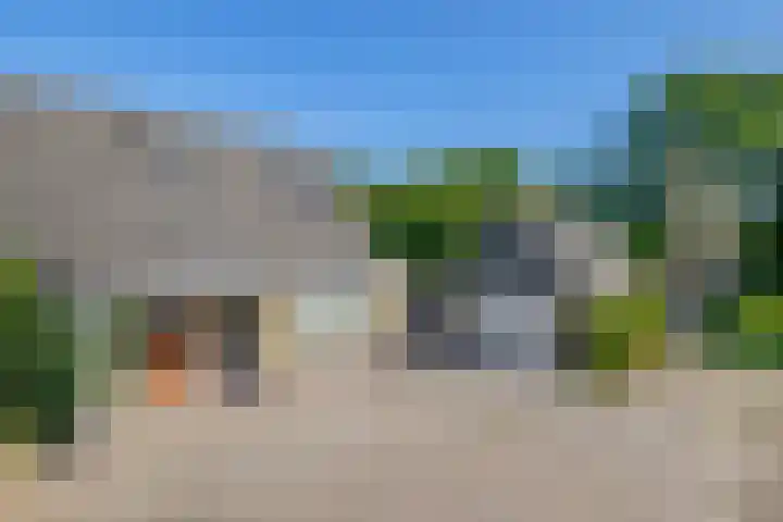 Russchenreed 71 Wijnjewoude thumbnail 4