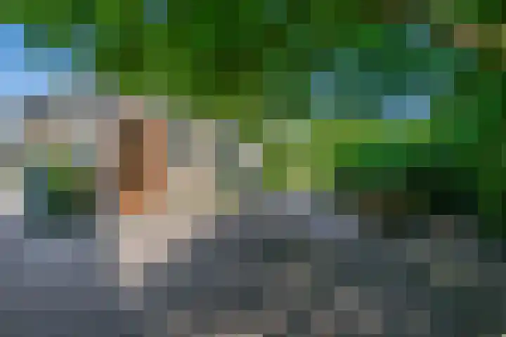 Russchenreed 71 Wijnjewoude thumbnail 40