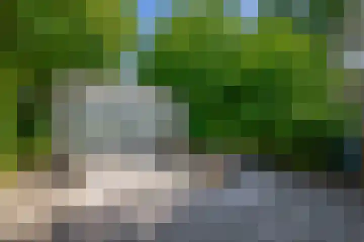Russchenreed 71 Wijnjewoude thumbnail 41