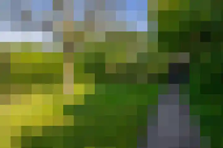 Russchenreed 71 Wijnjewoude thumbnail 43