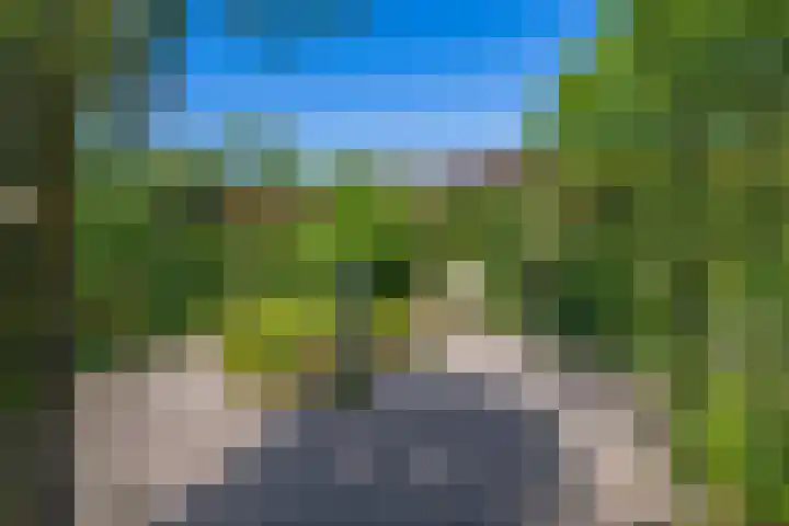 Russchenreed 71 Wijnjewoude thumbnail 44