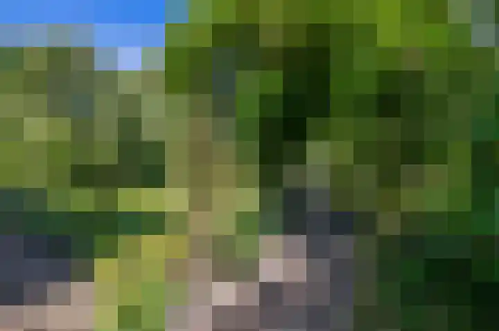 Russchenreed 71 Wijnjewoude thumbnail 46
