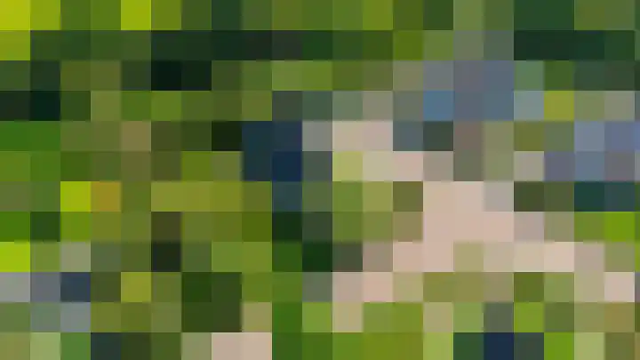 Russchenreed 71 Wijnjewoude thumbnail 48
