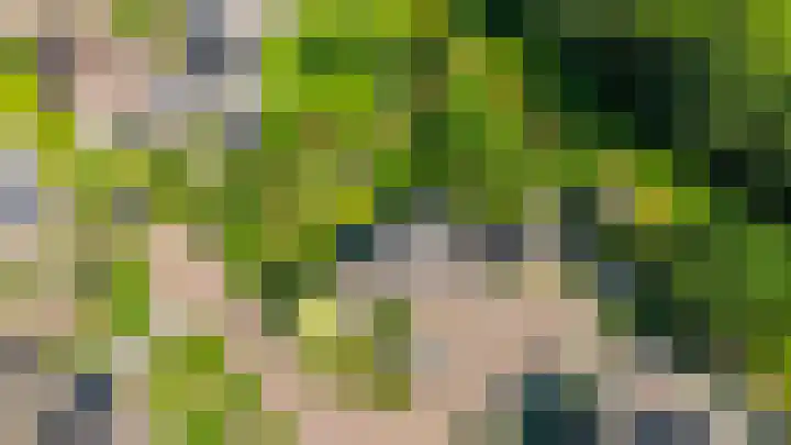 Russchenreed 71 Wijnjewoude thumbnail 49