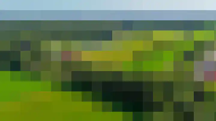 Russchenreed 71 Wijnjewoude thumbnail 50