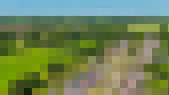Russchenreed 71 Wijnjewoude thumbnail 51