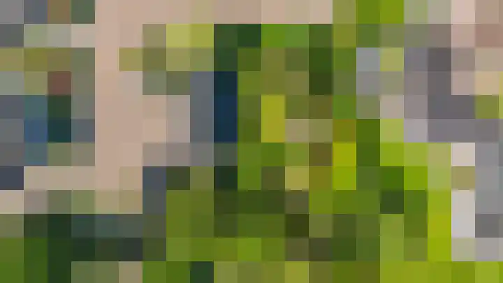 Russchenreed 71 Wijnjewoude thumbnail 52