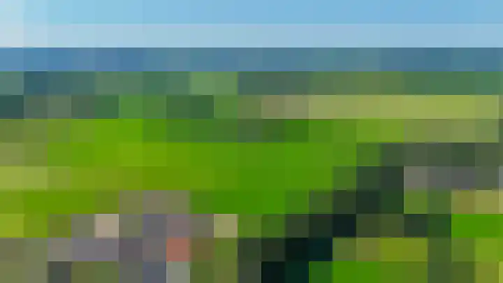Russchenreed 71 Wijnjewoude thumbnail 53