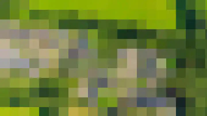 Russchenreed 71 Wijnjewoude thumbnail 54