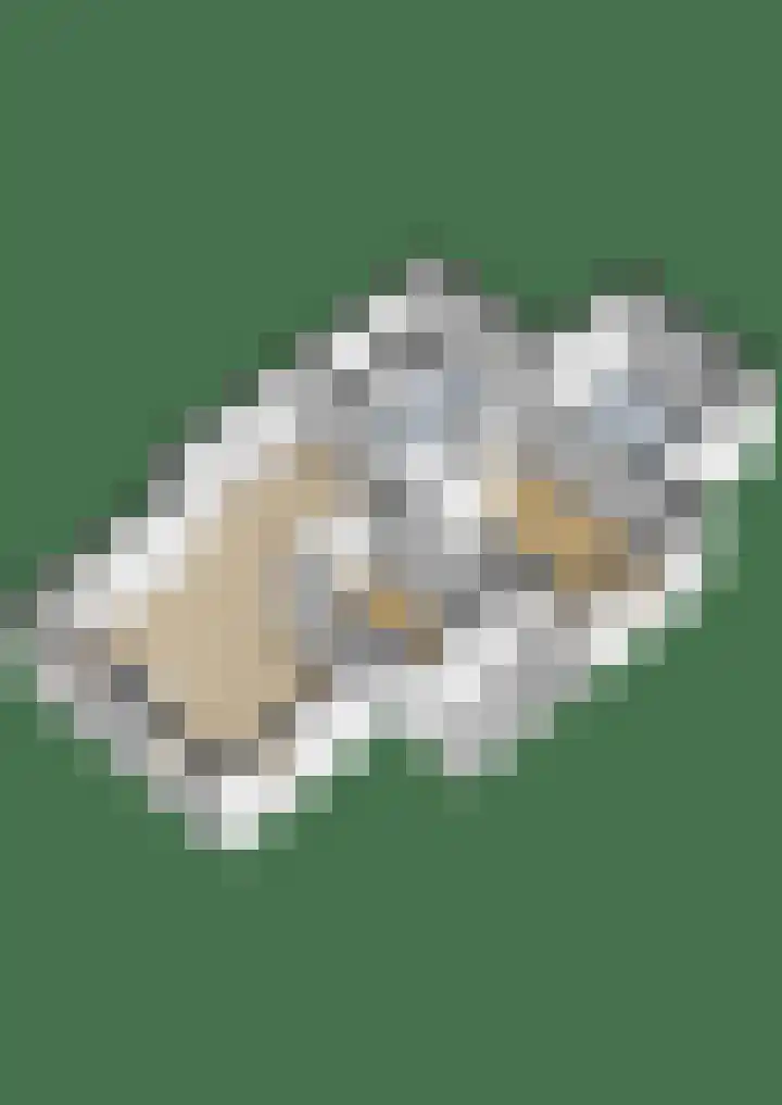 Russchenreed 71 Wijnjewoude thumbnail 56